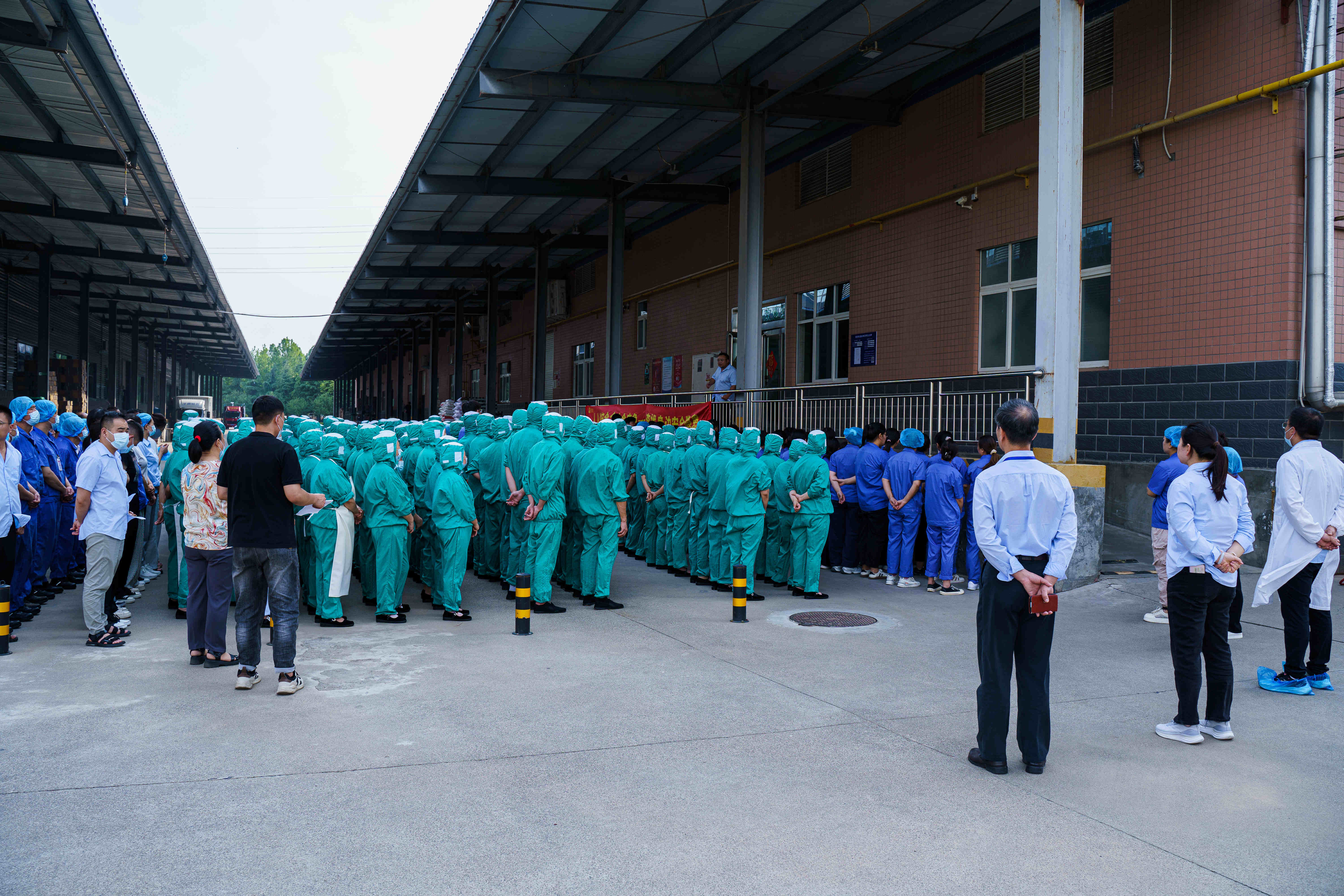 1751016261381516.jpg _YSL0135.JPG